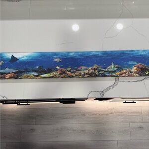 Colorful Coral Reef Wall Mural canvas 36”x 6”